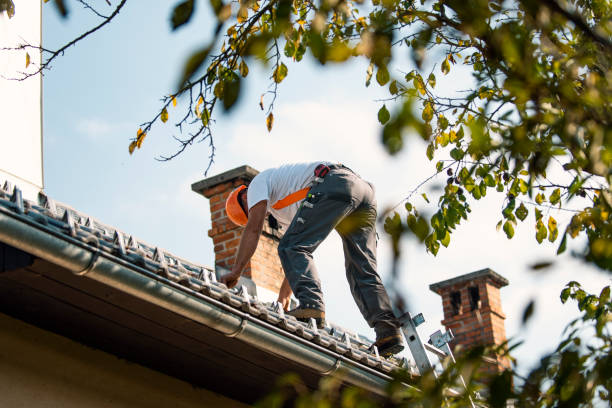 Best Sealant for Roof  in Sterling, IL