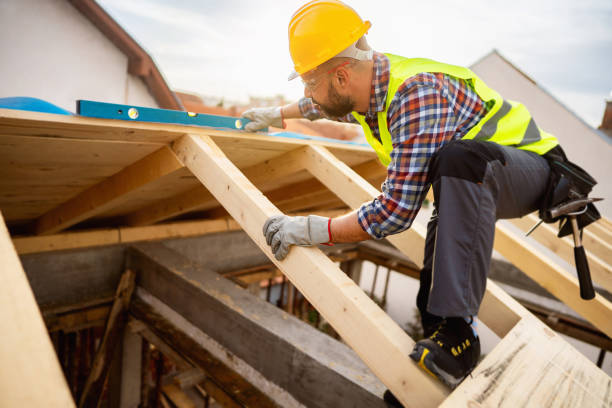 Best Roof Gutter Cleaning  in Sterling, IL