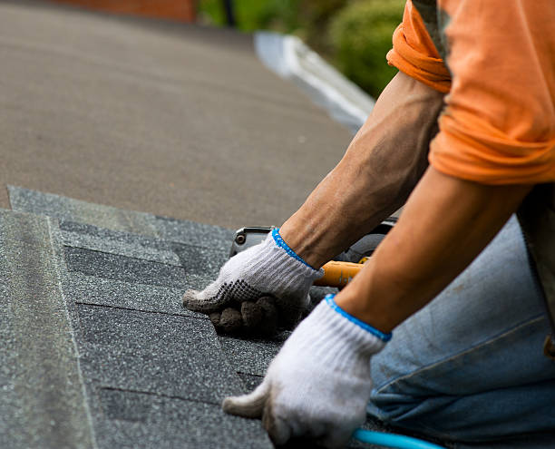 Best Flat Roof Repair Services  in Sterling, IL